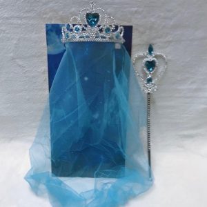 Priness tiara party accessories