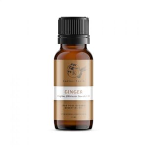 Ginger root essential oil -